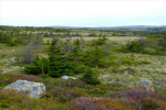 Het landschap bij Trepassey en Cape Race